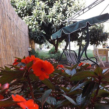 Il Noce Alghero Santa Maria la Palma Cameră foto